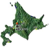 北海道浦臼産