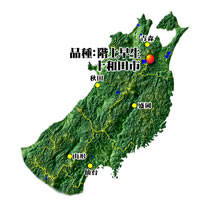 青森県十和田市