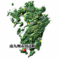 鹿児島県南九州市川辺町産