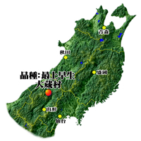 山形県大蔵村産