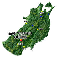 山形県村山地区産